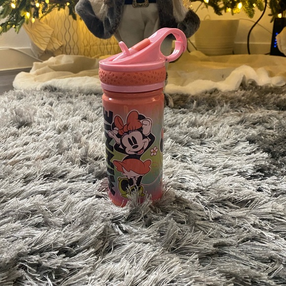 Disney Bottle
